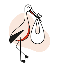 1% of all births in norway during this period. Pregnancy And Maternity Care In Norway Helsenorge No