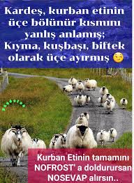 Hedef 2023 Adli Kullanicinin Guzel Sozler Panosundaki Pin Komik Gifler Hayvanlar Komik