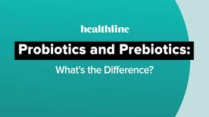 Probiotics vs. Prebiotics: Understanding the Difference