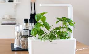 Father S Day Gift Ideas For A Gardening Dad The Home Depot