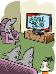 What does stephen hawking have in common with a bull ? Shark Jokes Jokes By Scout Life