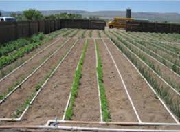 Pin By Horticulture Usu Extension On Irrigation Garden Watering System Drip Irrigation Irrigation System