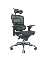 Raynor Ergohuman Mesh High Back Chair Black Office Depot
