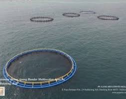 Aquatec Keramba Jaring Apung Kja Hdpe Aquatec Perusahaan Terlengkap Untuk Peralatan Kelautan Dan Perikanan Buatan Anak Bangsa Dermaga Perahu