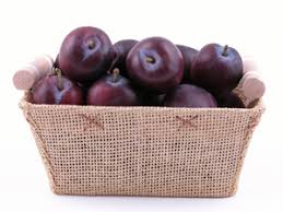A lovely border tree or garden accent. Santa Rosa Plum Tree Self Fertile Plums Willis Orchards