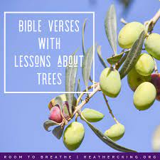 Openbible.info geocoding topical bible labs blog. Bible Verses With Lessons About Trees Heather C King Room To Breathe