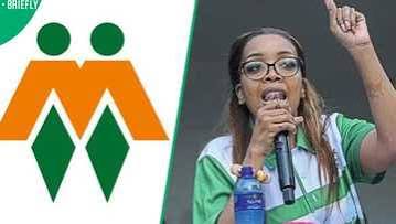 AfriForum's Kallie Kriel Eager to Engage With March and March's Jacinta Ngobese-Zuma, SA Divided - Briefly.co.za