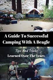 reparatieset zwembad gamma verfwinkel nieuwegein kunststof goten hound puppies hiking dogs group of dogs