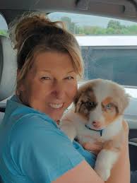 Can anyone recommend a border collie breeder? TIA