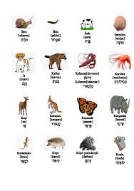 Pin By Mywordsblog On Azerbaijani And Hebrew Animal Names In 2020 Comics Animals Art