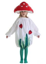 Deguisement Champignon Pour Enfants Deguisement Deguisement Enfant Costume De Fee