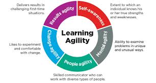 Agility tends to produce its own language. Learning Agility