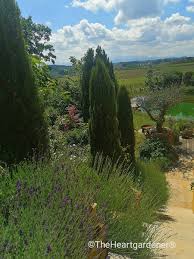 nach diesem titel suchen münchen ludwig, 2002. Ein Gartenparadies Am Hang Freudengarten