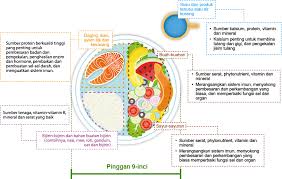 Set kurus shaklee berkesan, lama di pasaran. Diet My Health My Life