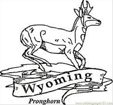 Print pronghorn coloring page (color). Life Quotes Coloring Pages Printable Quotesgram