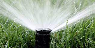 How long to water your lawn. Learn How To Beat The Colorado Heat And Make Your Watering Count Tagawa Gardens Blog