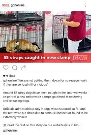 Image result for Muhurraq 2012 Cygnet