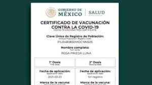 Población que viaja al extranjero: Certificados Falsos De Vacunacion Covid 19 Como Detectarlos Y Diferenciarlos As Mexico