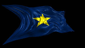Maybe you would like to learn more about one of these? Republic Of Texas Flag 3d Stock Video 100 Royaltyfri 8614750 Shutterstock