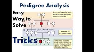 Pedigree Analysis In An Easy Way Autosomal Recessive How To Analyse Autosomal Recessive Pedigree