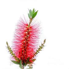 Pin On The Best Of Fineartamerica Pixels