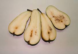 Image result for Flaschengruen 1982 AA