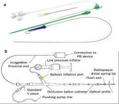 Cross sections of the cook® cervical ripening balloon and. A Flow Directed Balloon Catheter Cook That Was Used To Cannulate The Download Scientific Diagram