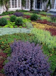 Alternative To Grass Ground Cover Plants Lawn Alternatives Xeriscape