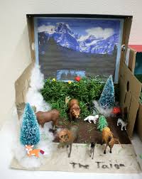 This Is A Fourth Grade Biome Project Representing The Taiga Biome Taiga Also Known As Coniferous Or Boreal Forest Ecosystems Projects Biomes Project Biomes