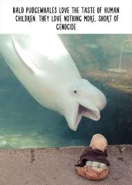 Totally 100 True Animal Facts Animal Captions Animals Baby Animals Funny