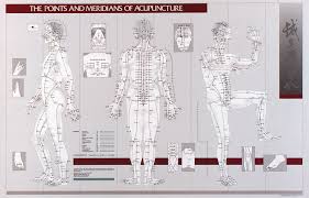 points and meridians of acupuncture laminated chart