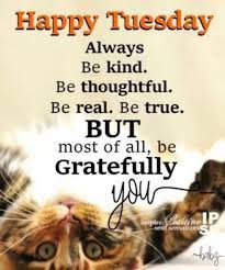 Check spelling or type a new query. 55 Funny Tuesday Quotes And Images With Inspirational Messages