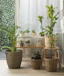 Tanaman hias gantung million bells. Jual Pot Tanaman Terbaik Ikea Indonesia