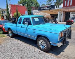 Image result for Blue Diamond 1959 Dodge Truck