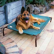 Shop chewy for the best, durable dog beds and mats! Coolaroo Raised Dog Beds