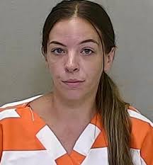 Server at popular restaurant in The Villages facing fraud charge