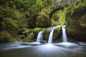 What To Do In Mullerthal Luxembourg S Little Switzerland The Crowded Planet