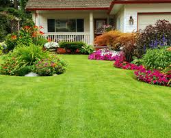 Landscaping Ideas To Make Your New Home Your Own Davey Blog Small Backyard Landscaping Backyard Landscaping Backyard Landscaping Designs