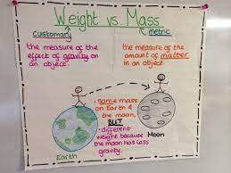 758855fb3d6f998510f751886e010252 Jpg 600 450 Pixels Science Anchor Charts Science Chart 8th Grade Science