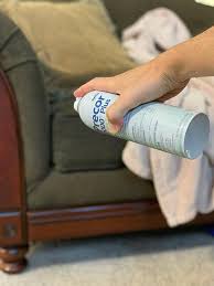 Check spelling or type a new query. Get Rid Of Fleas In Your House 3 Easy Steps