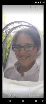 Free honeybee swarm removal service in Citrus County