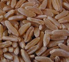 Kamut — ist der produktname für die weizensorte q 77, die nach genetischen untersuchungen eine hybride aus hartweizen (triticum durum) und triticum polonicum 1. Mediterranean Cooking Kamut