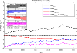 large influence of soil moisture on long term terrestrial carbon uptake nature