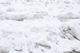 Pin By Maya Leeav On Snow Snow Images Snow Image