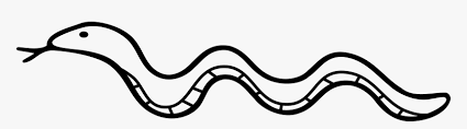 Snake drawing, snakes, animals, vertebrate, monochrome png. Snake Drawing Line Long Snake Black And White Hd Png Download Kindpng