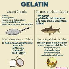 Taken entirely from a lesson given a hanafi scholar, ibn abedin gave the example: Ifanca On Twitter Did You Know Some Gelatin Is Halal This Infographic Perfectly Summarizes More Facts On Gelatin Halal Consumer Story By Greenparentchgo Https T Co Wwud7oxjjy