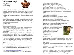 Buah tunjuk langit atau biji tunjuk langit kini semakin popular untuk merawat pelbagai penyakit kronik. Buah Tunjuk Langit Sky Fruit Mahagony Fungsi Fungsi Utama Flavonoids Ppt Download
