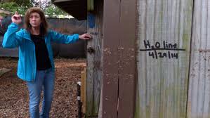 Flood Damage at the Wildlife Sanctuary of Northwest Florida
