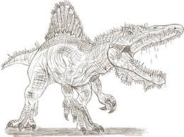 656 pages le meilleur de l'humour noir. T Rex Spinosaurus Dinosaur Coloring Pages Novocom Top
