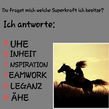Pin Von Sophie Seggewiss Auf Pferde Pferdespruche Pferde Zitate Pferdeliebe